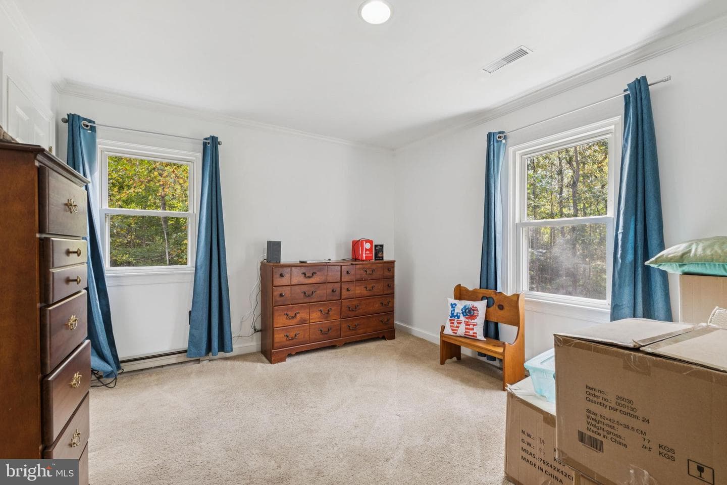 524 Annies Road photo 16