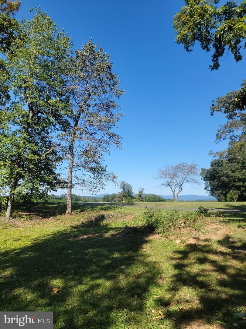 524 Annies Road photo 4