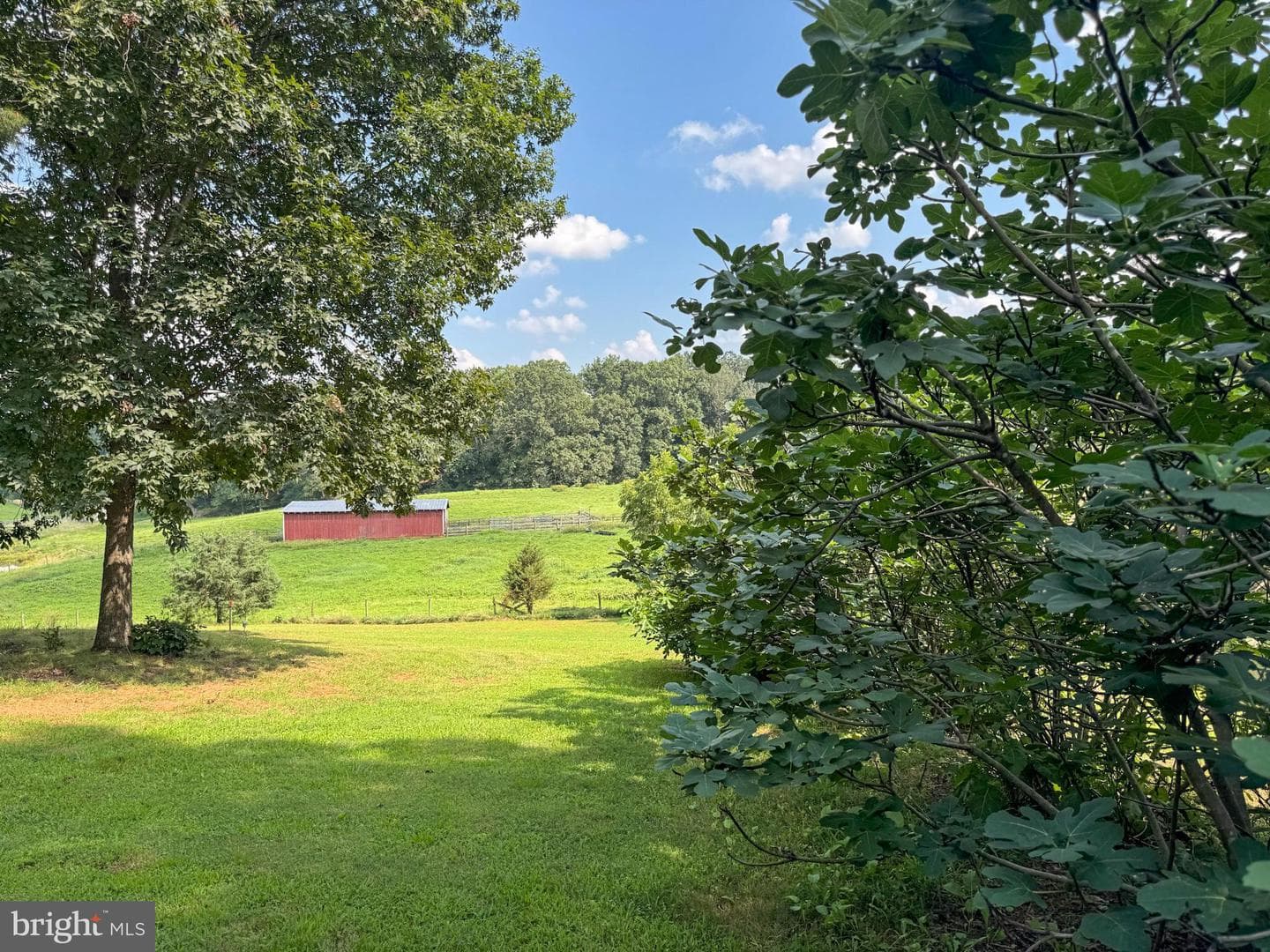 1318 Locust Grove Church Road photo 41