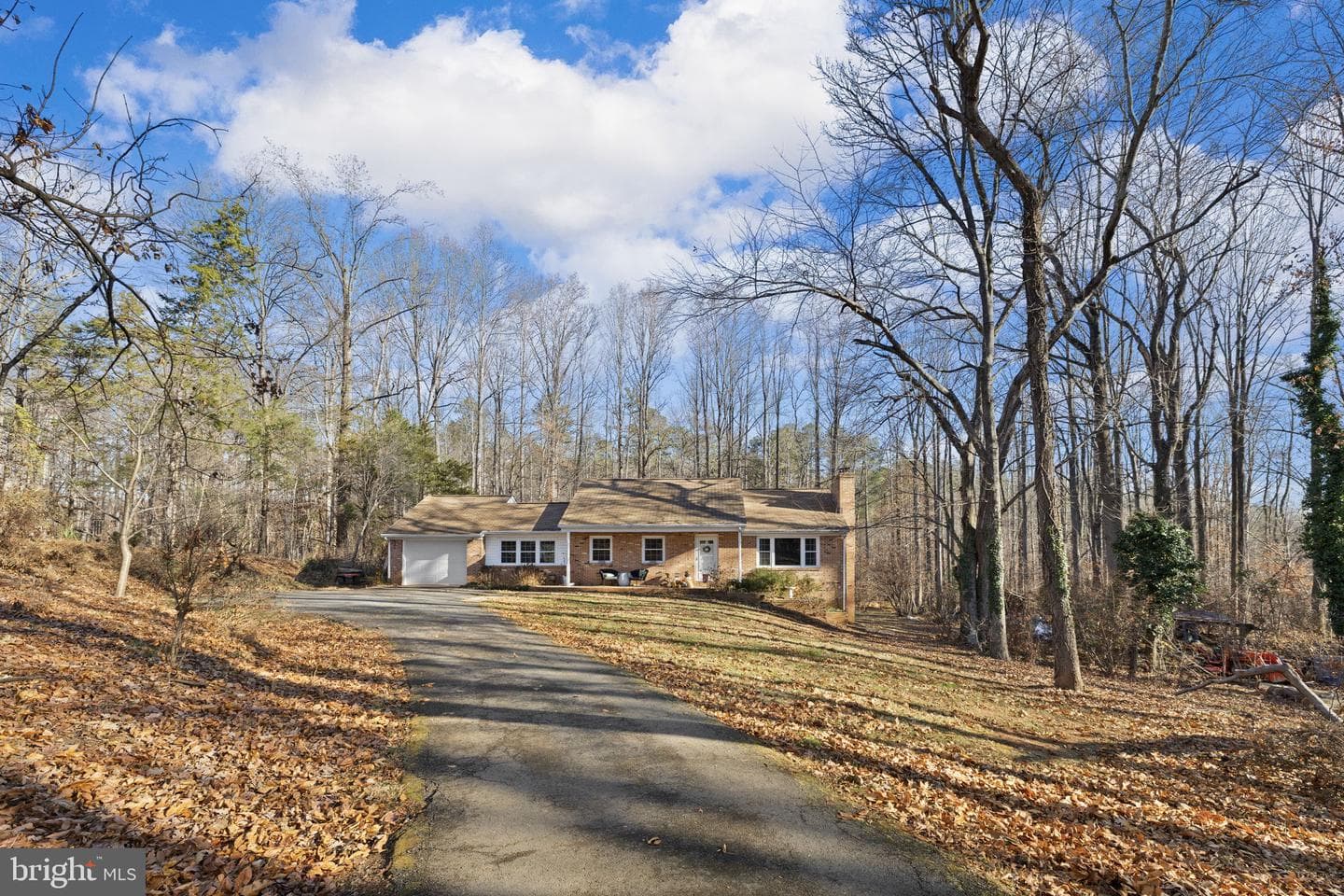 161 Persimmon photo 2