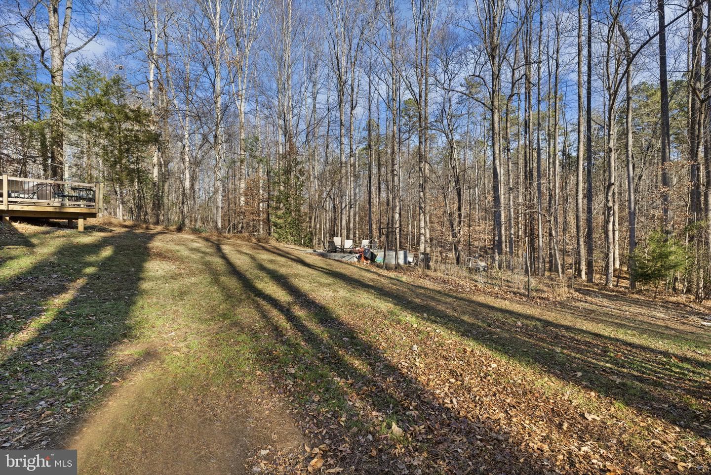161 Persimmon photo 31