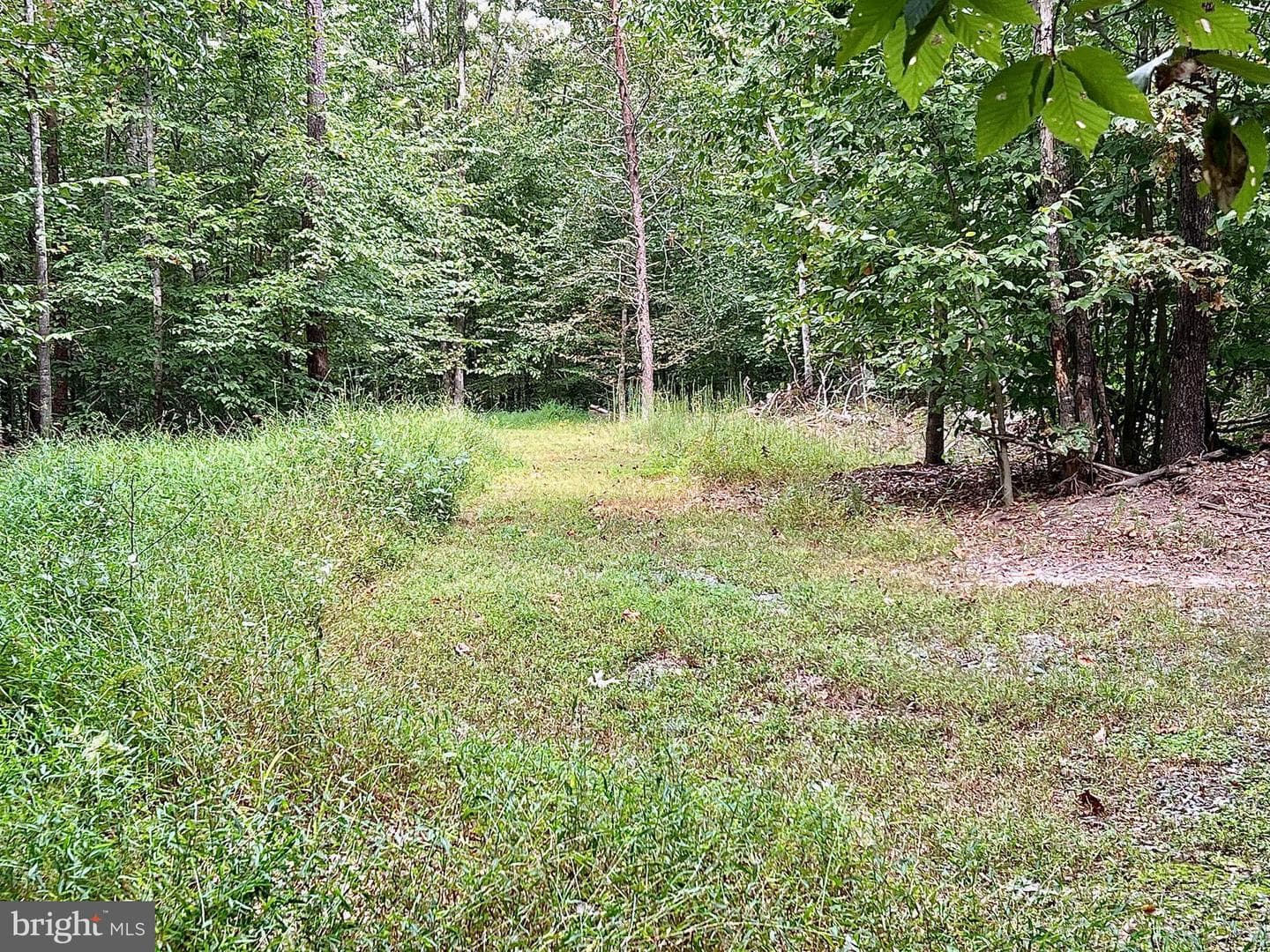 4601 S. Blue Ridge Turnpike photo 37