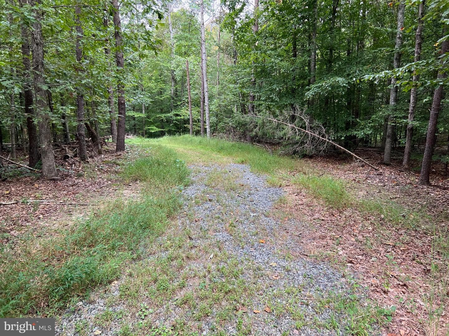 4601 S. Blue Ridge Turnpike photo 38