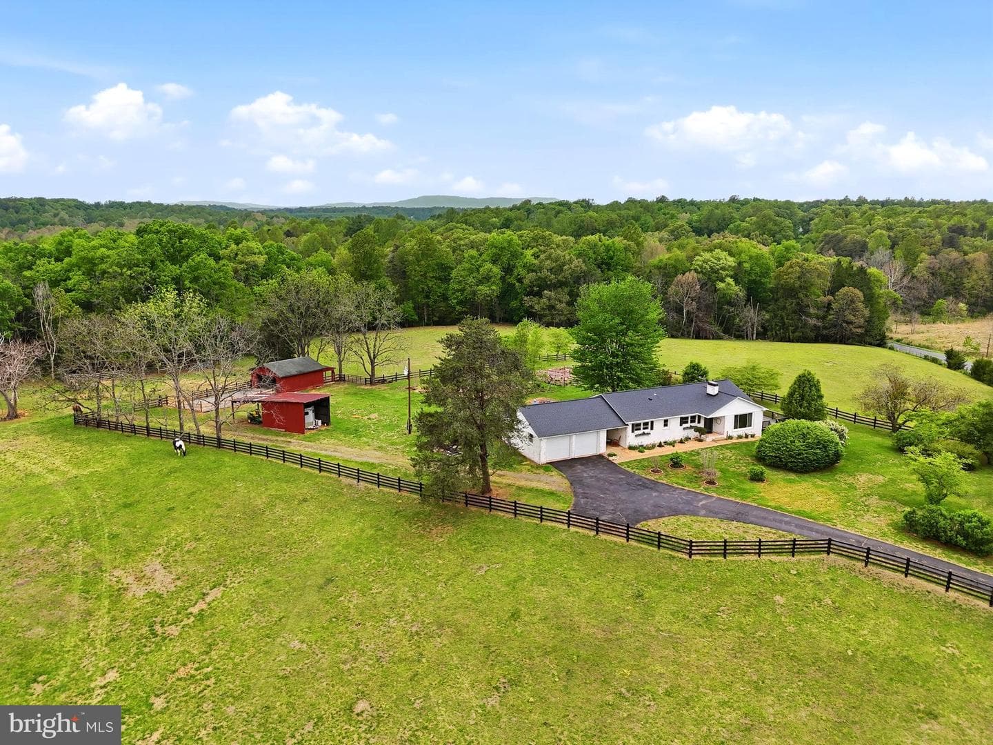 481 James City Road photo 57