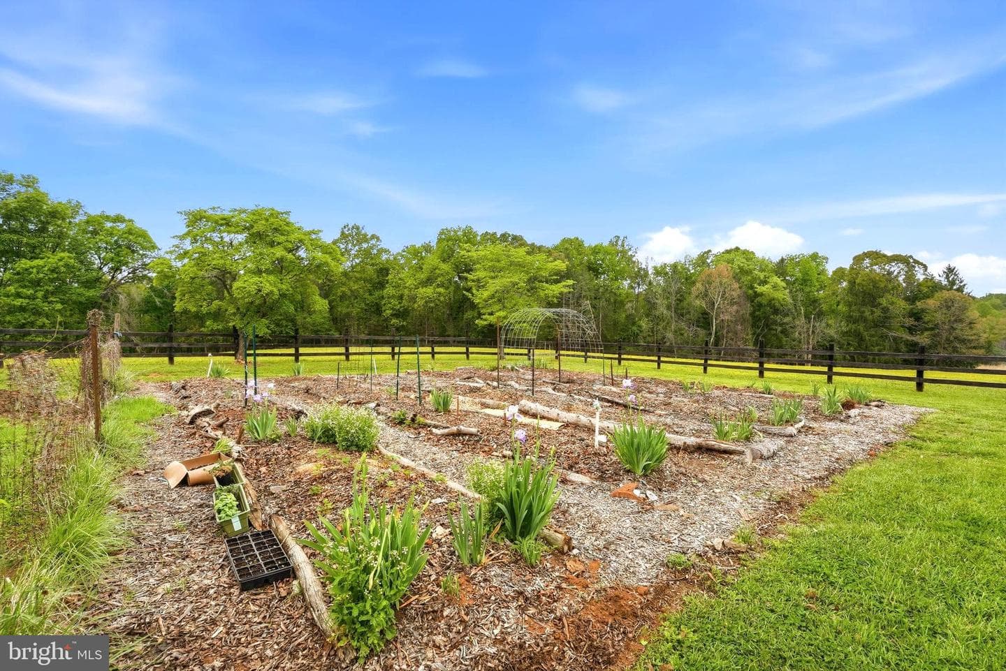 481 James City Road photo 70