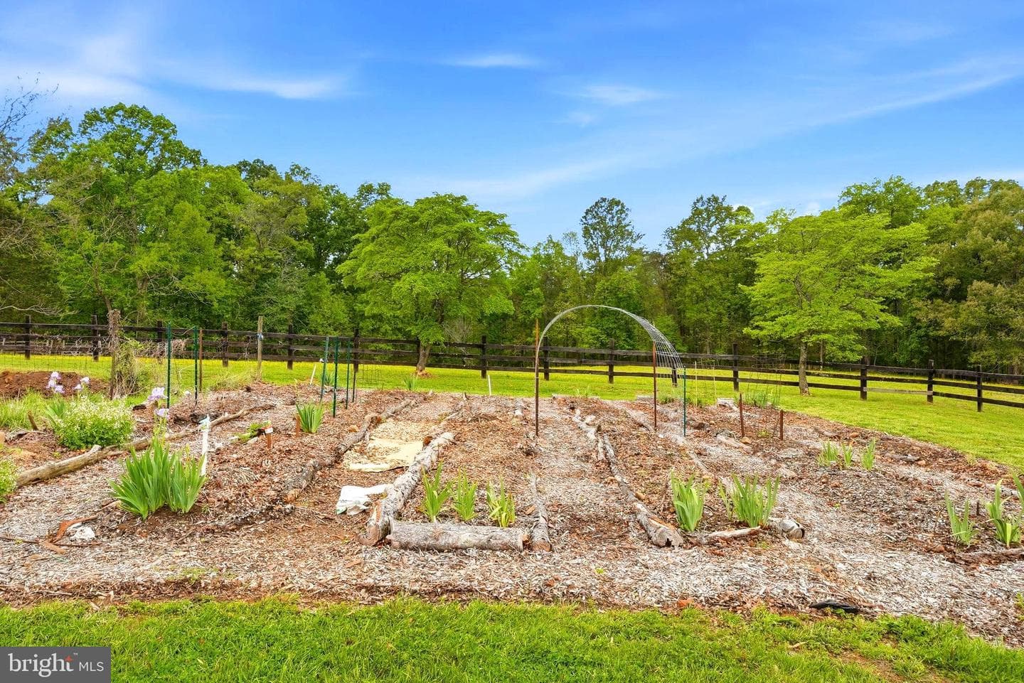 481 James City Road photo 71