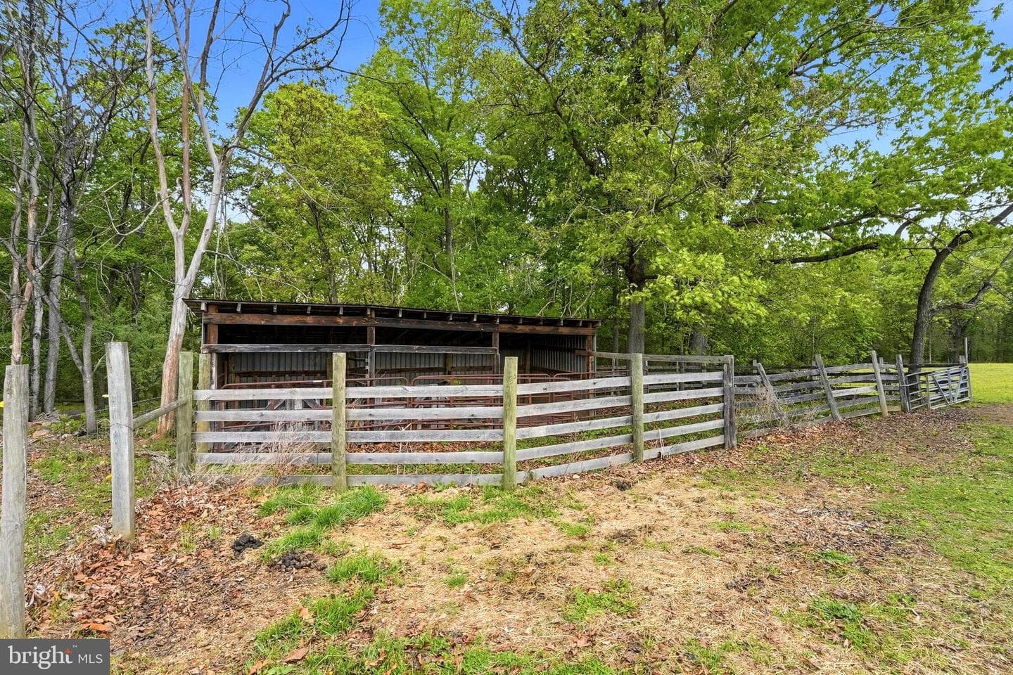 481 James City Road photo 72