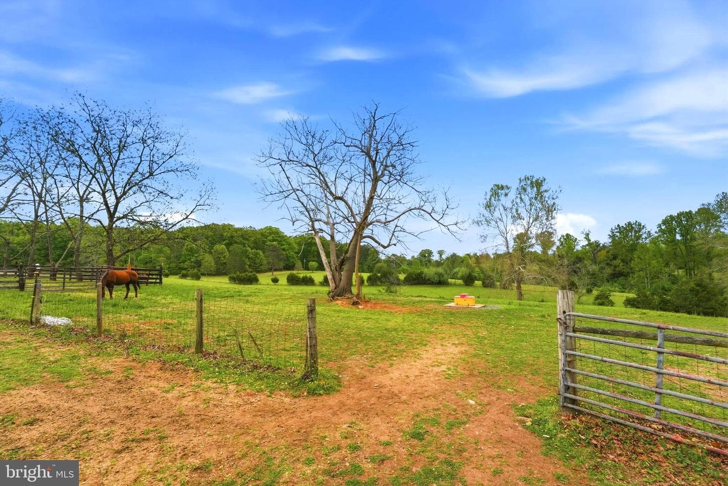 481 James City Road photo 73