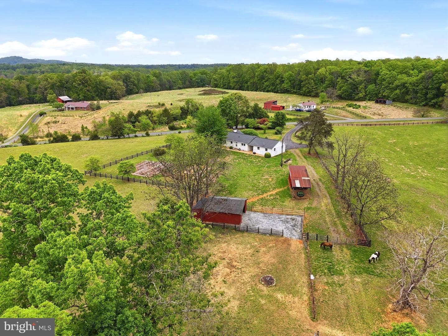 481 James City Road photo 81