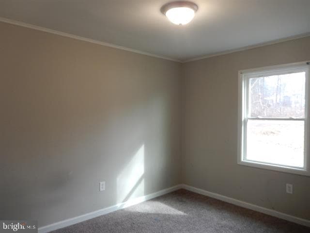 114 Marshall photo 11