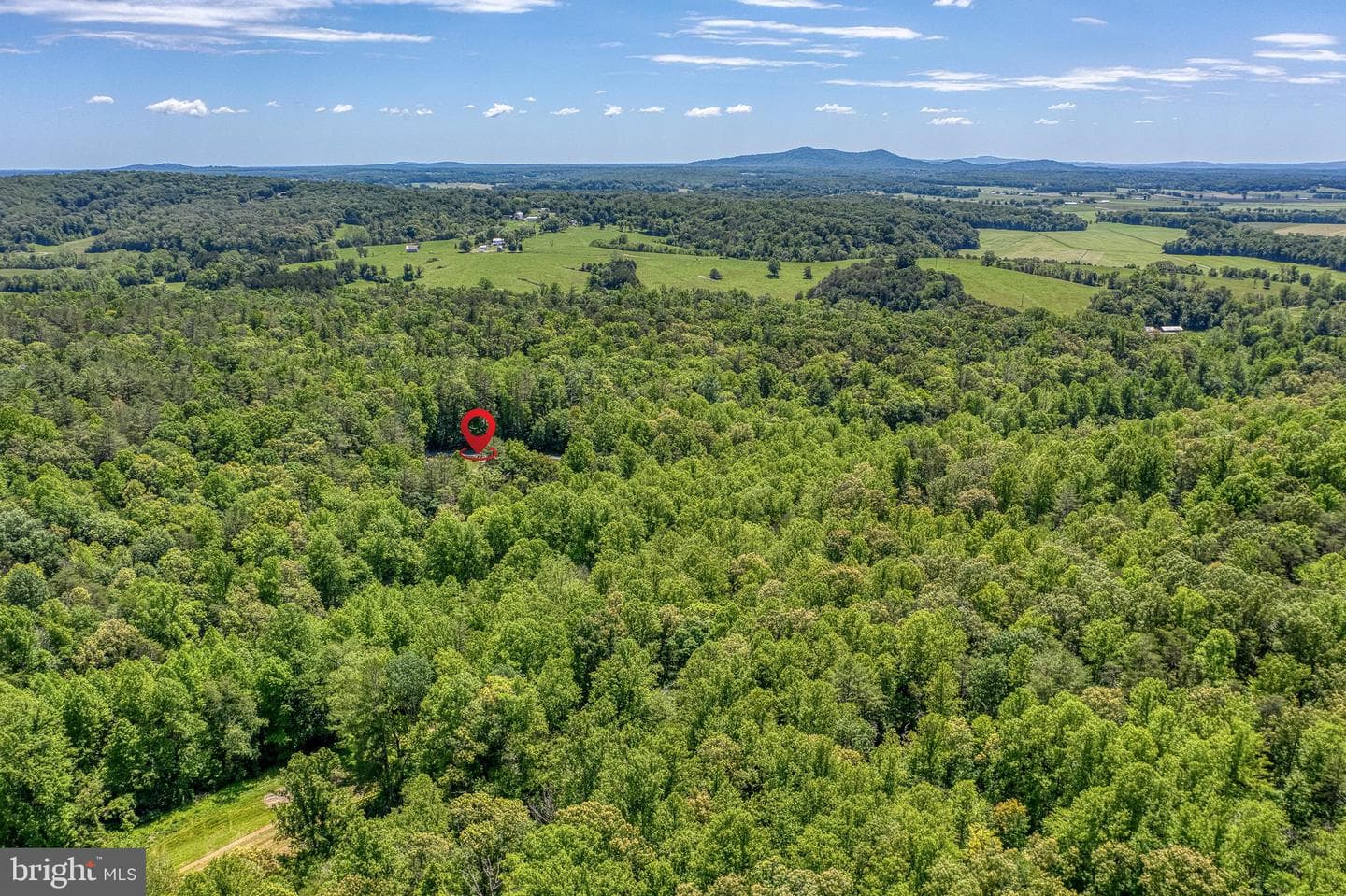 803 Weaver Hollow Road photo 64