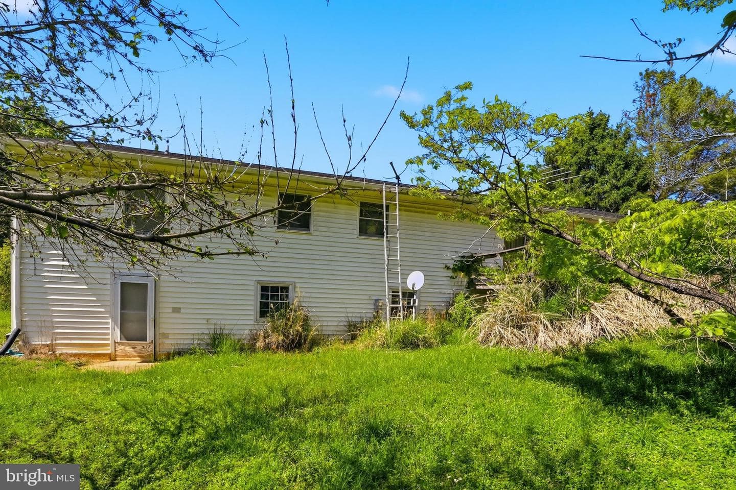 4312 Seminole Trail photo 6