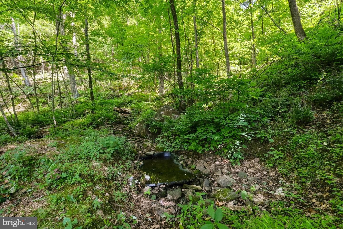 2411 Quaker Run Road photo 43