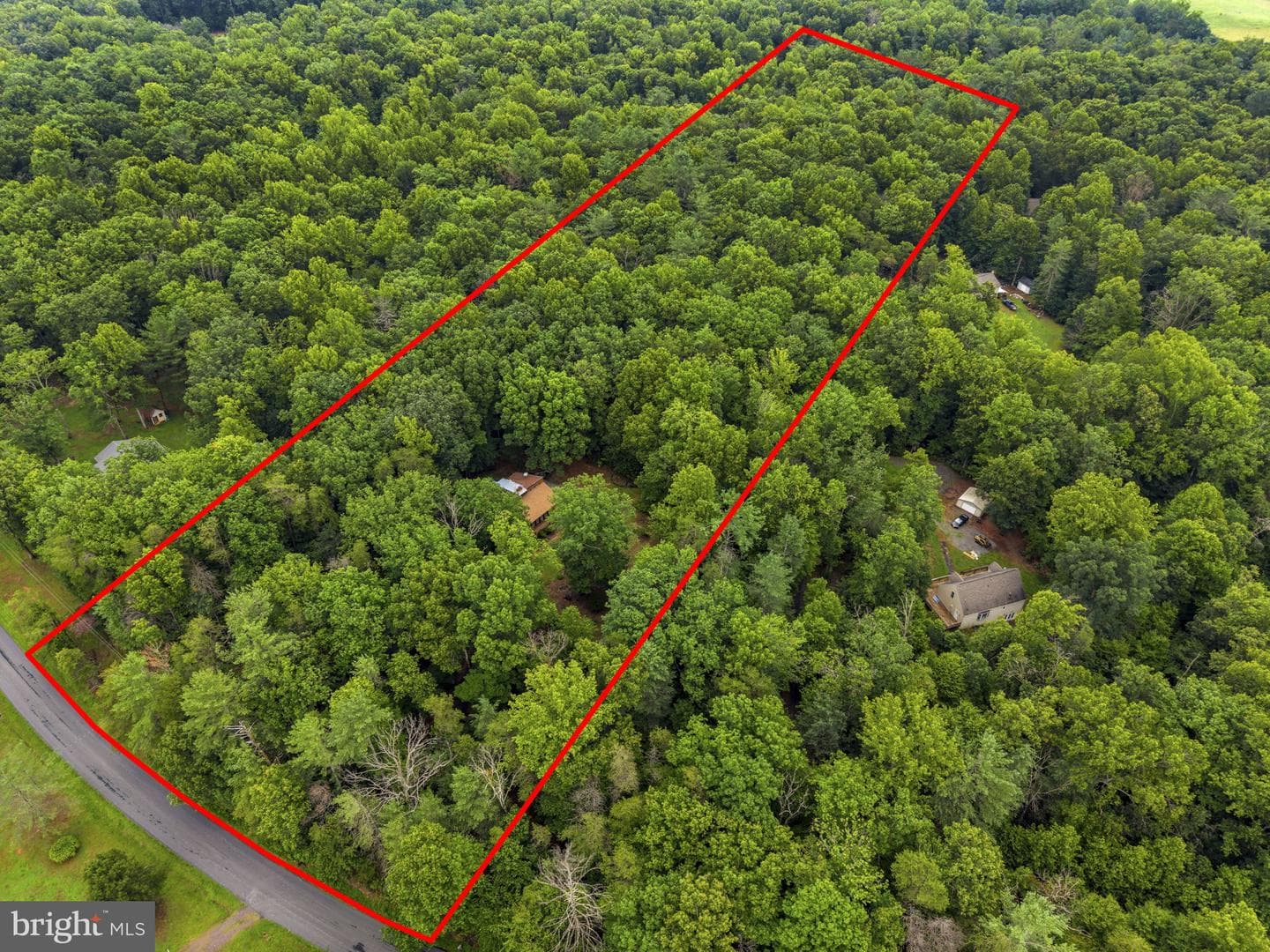 554 Arrington Mountain Road photo 3