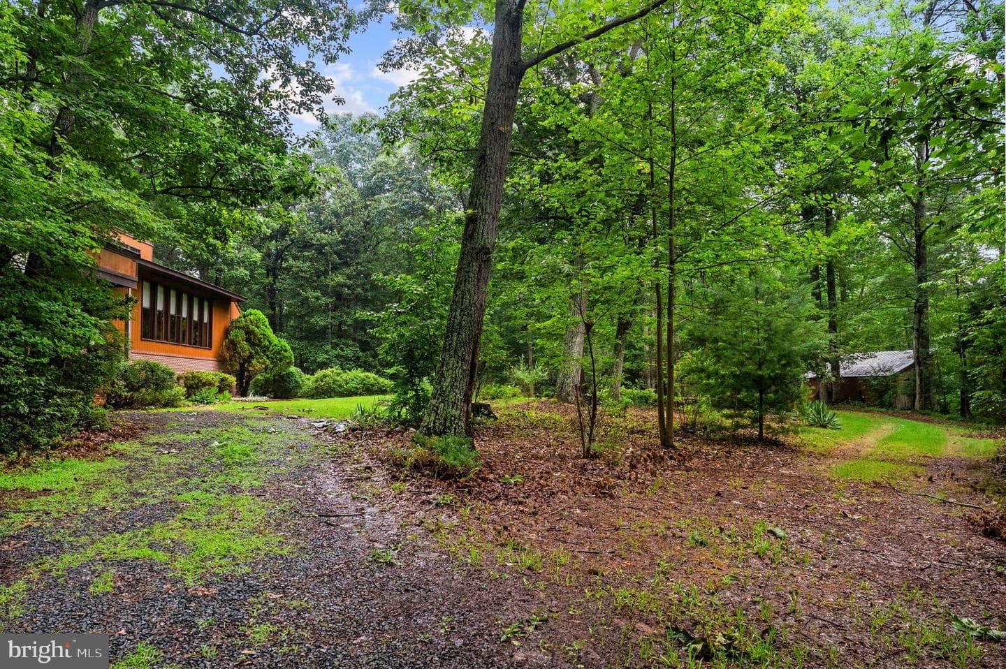 554 Arrington Mountain Road photo 5