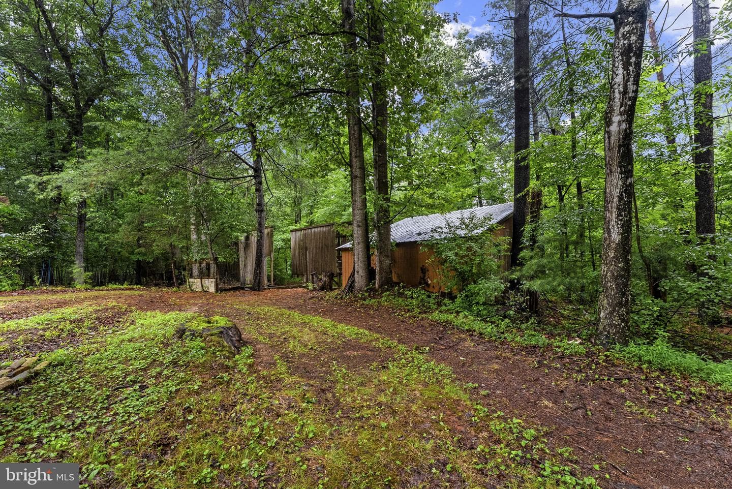 554 Arrington Mountain Road photo 78