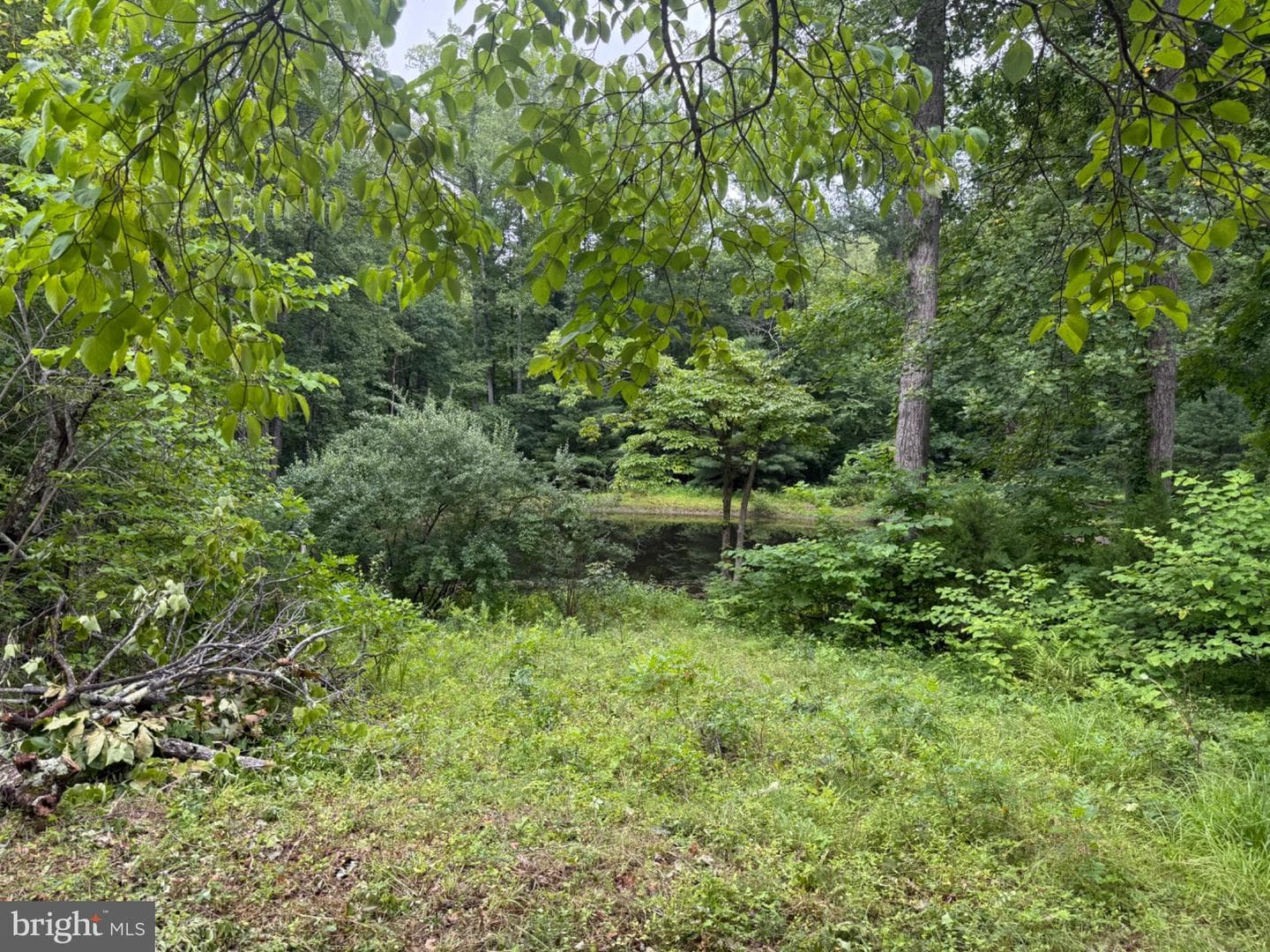 6334 W Hoover Road photo 4