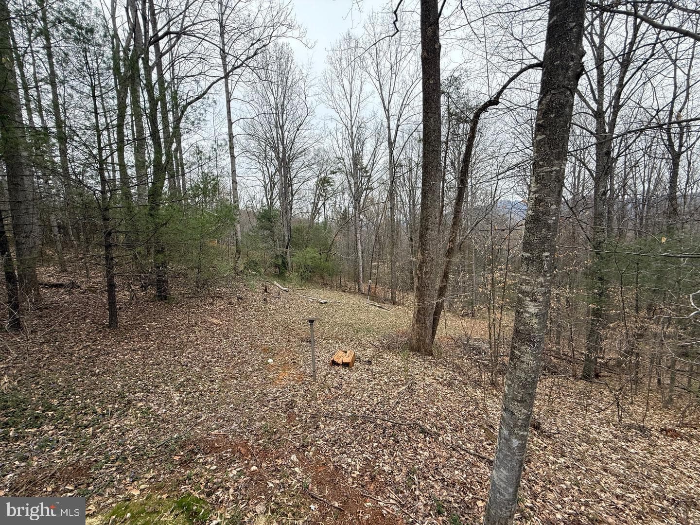 258 Laurel Drive photo 9