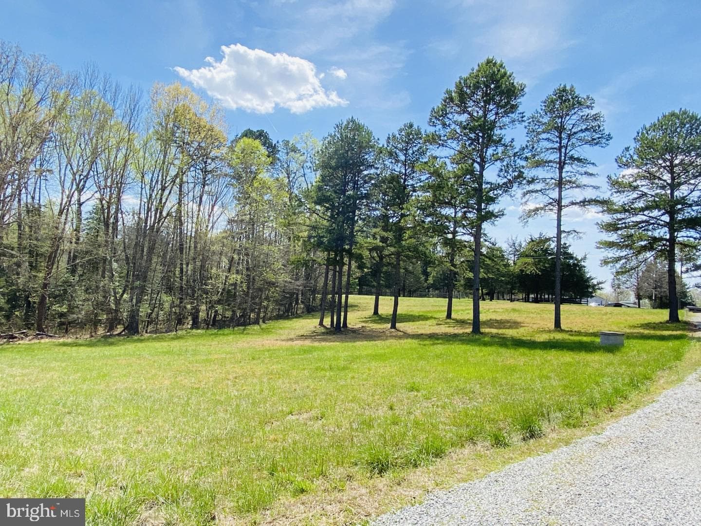 427 Muscadine Trail photo 10