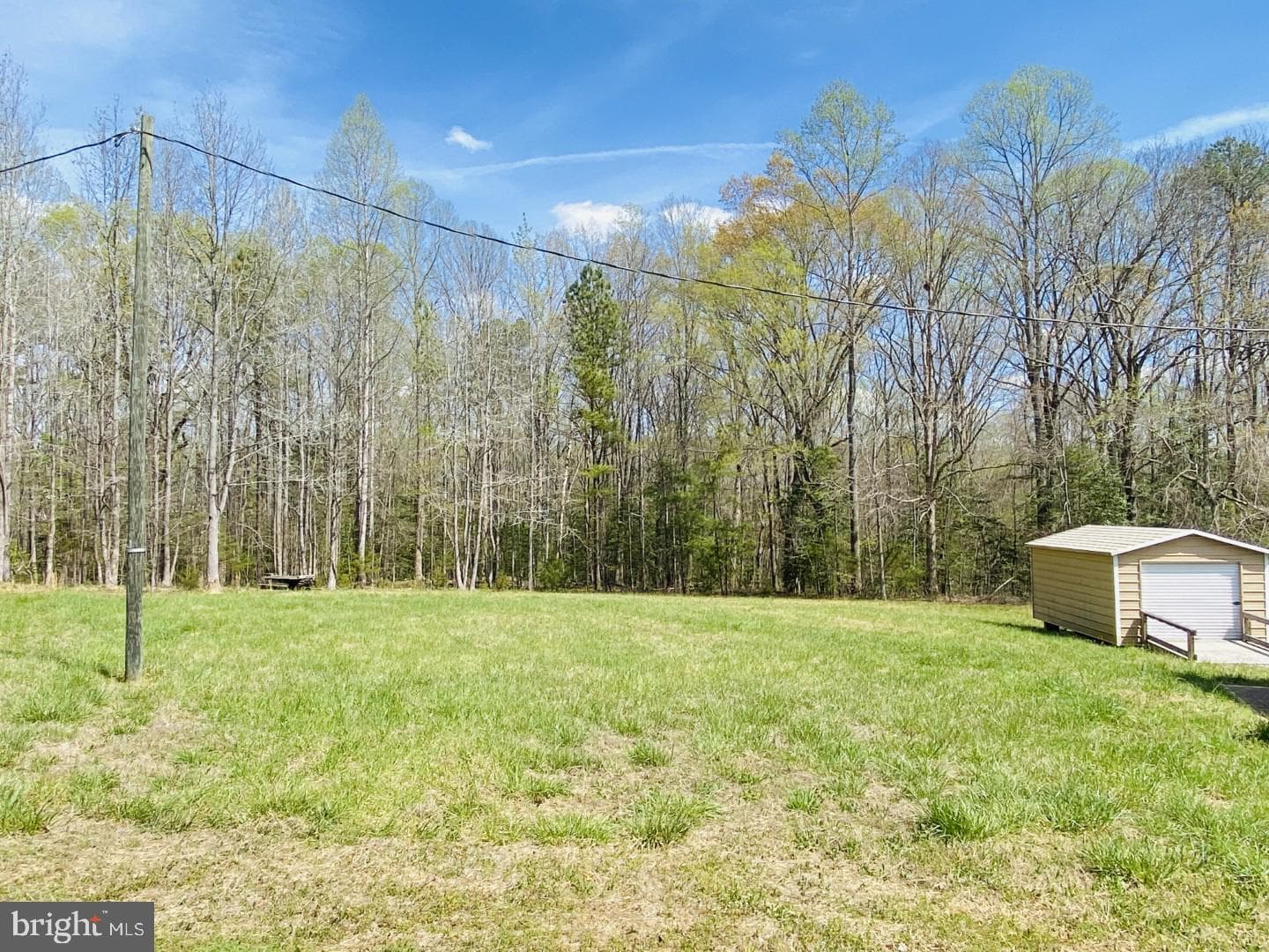 427 Muscadine Trail photo 12