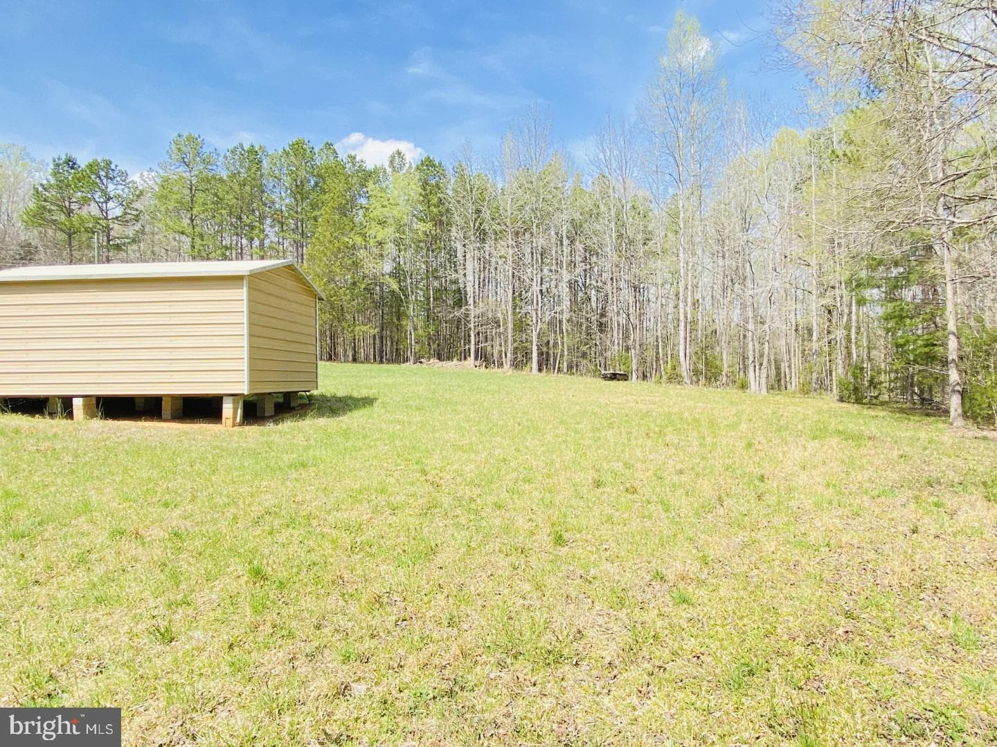 427 Muscadine Trail photo 16