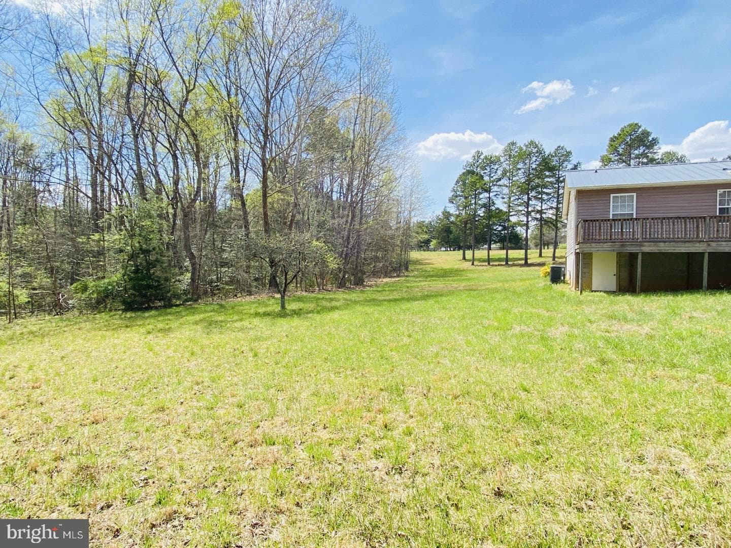 427 Muscadine Trail photo 17