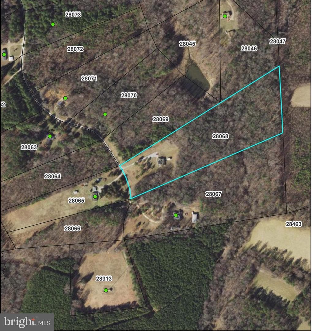 427 Muscadine Trail, Baskerville