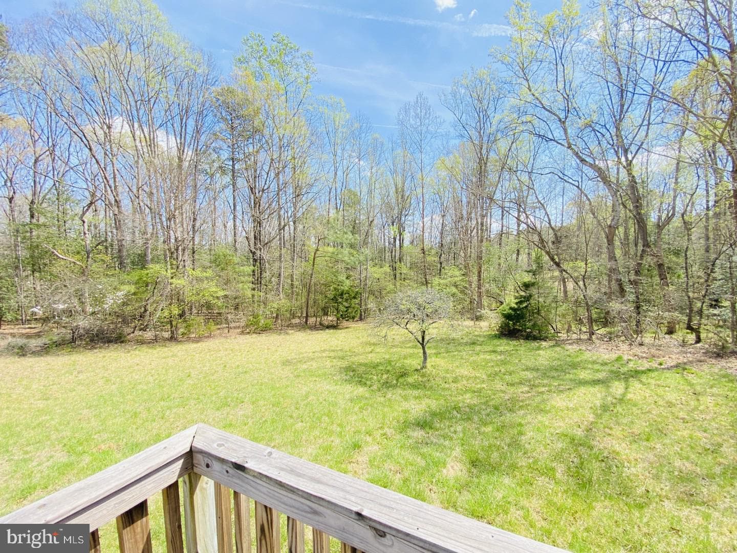 427 Muscadine Trail photo 41