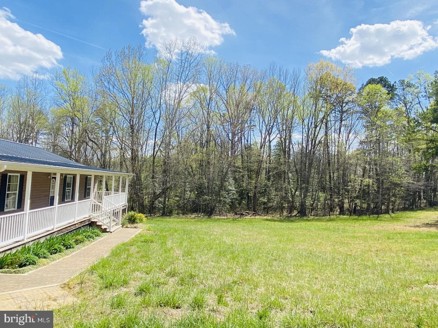 427 Muscadine Trail photo 9