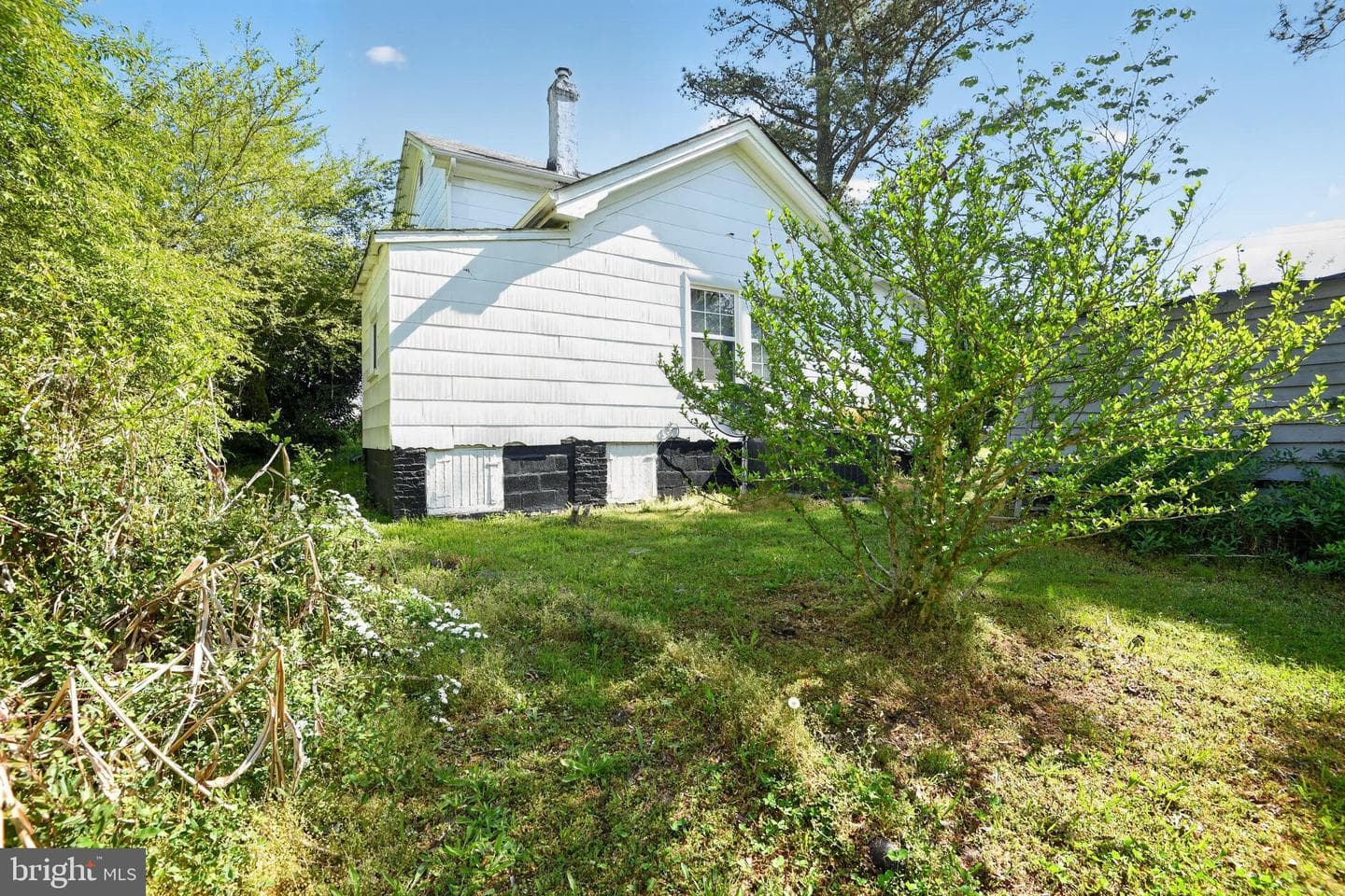 103 Seaboard Avenue photo 17