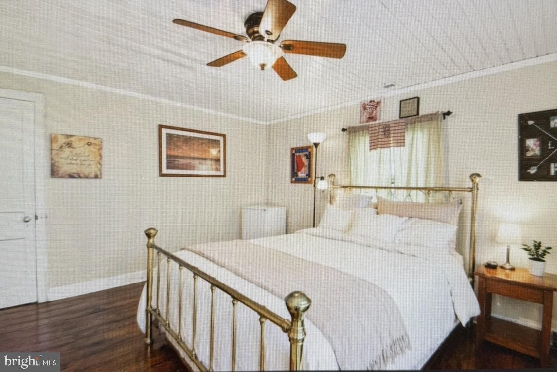 103 Seaboard Avenue photo 6