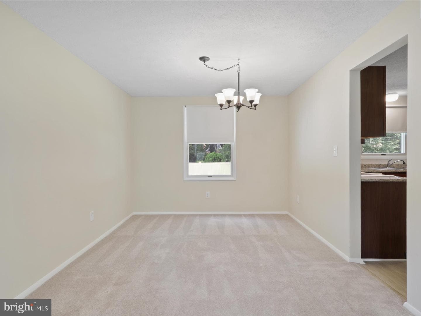 10297 Woodmont Court photo 23