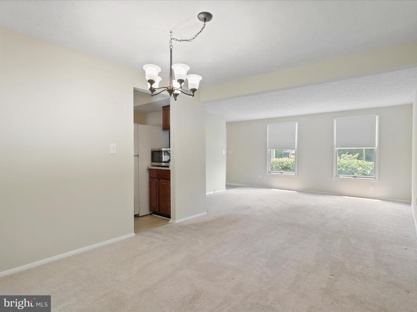 10297 Woodmont Court photo 24