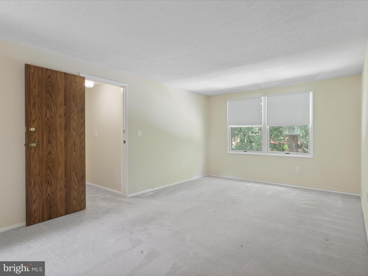 10297 Woodmont Court photo 37