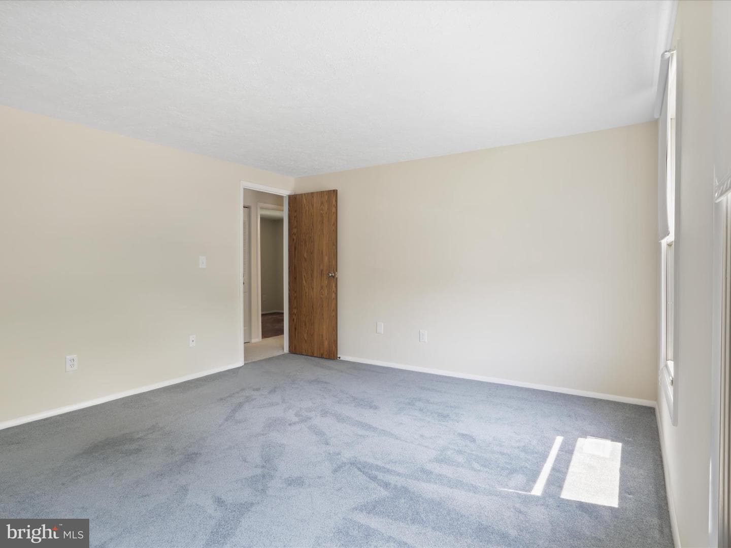 10297 Woodmont Court photo 47