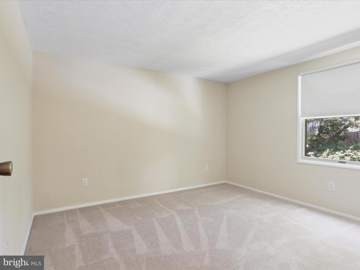 10297 Woodmont Court photo 48