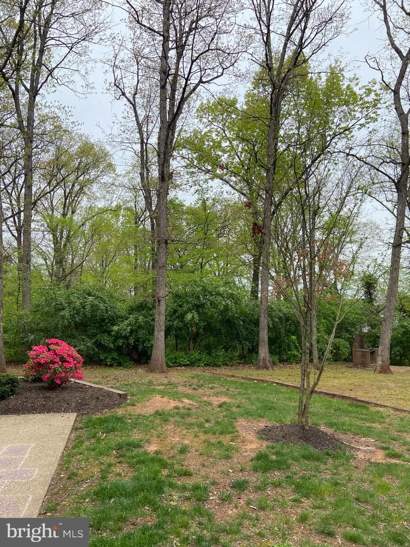 9952 Grapewood Court photo 12