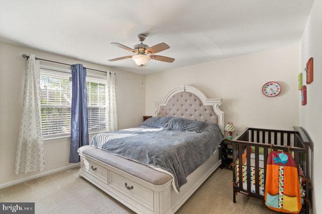 9008 Patterson Place photo 15