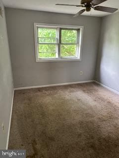 8449 Ivy Glen Court photo 15