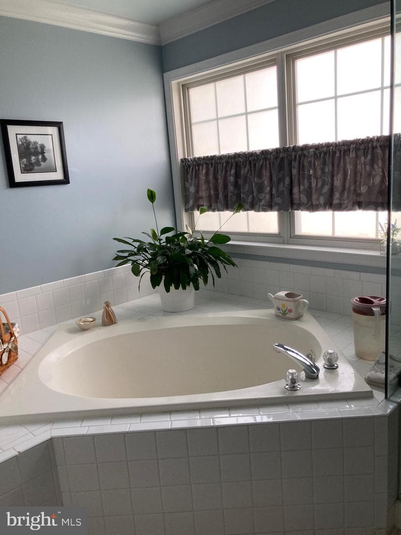 8594 Fitzgerald Farms Court photo 21