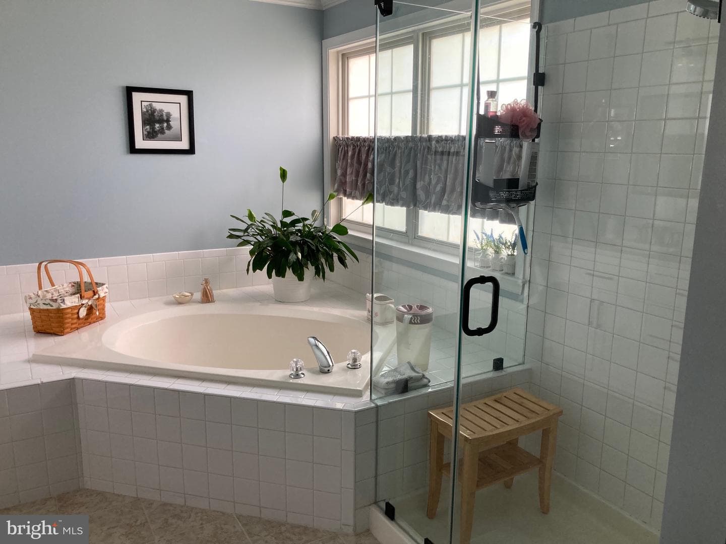 8594 Fitzgerald Farms Court photo 22