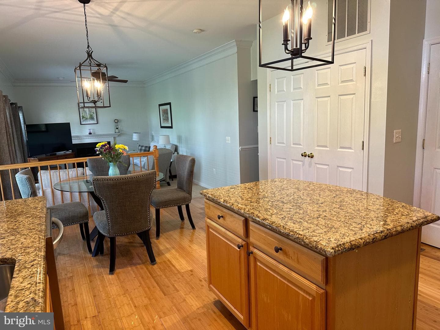 8594 Fitzgerald Farms Court photo 8