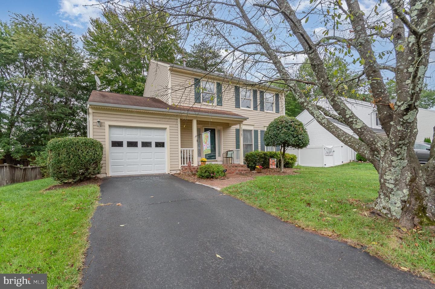 10287 Cedar Ridge Drive photo 2