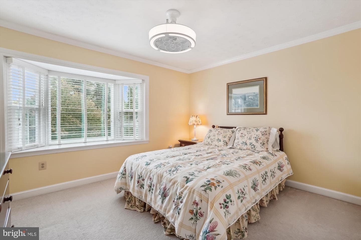 9536 Harvest Place photo 53