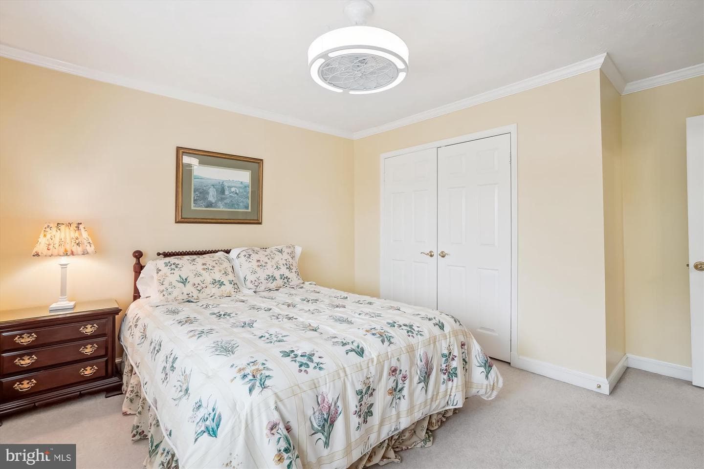 9536 Harvest Place photo 56
