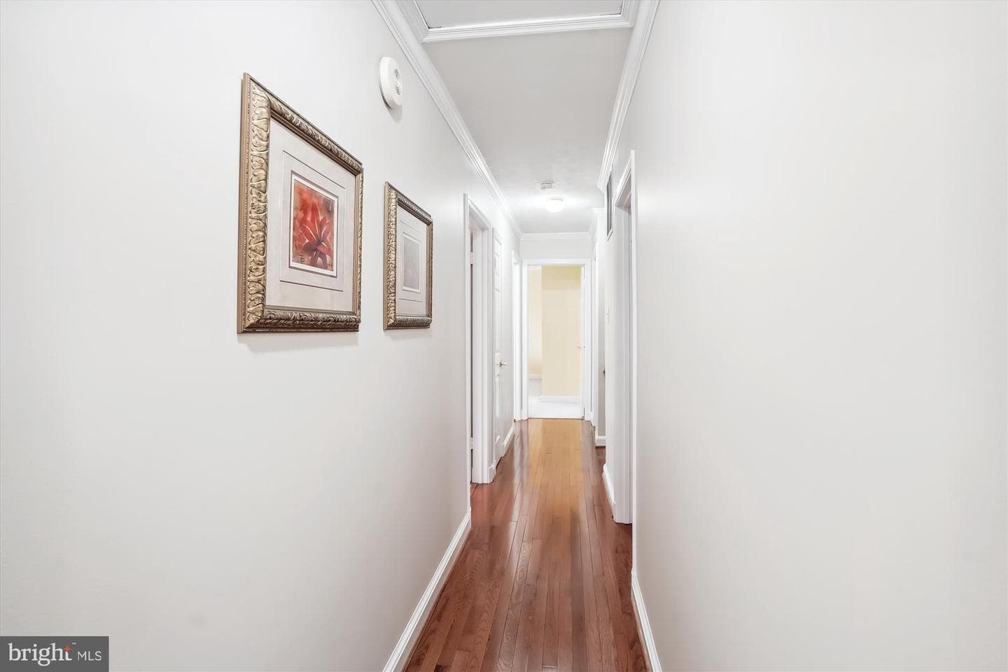 9536 Harvest Place photo 59