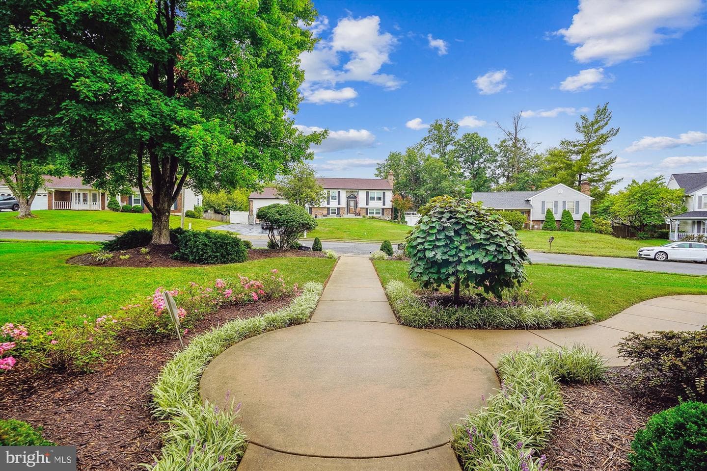 9536 Harvest Place photo 7