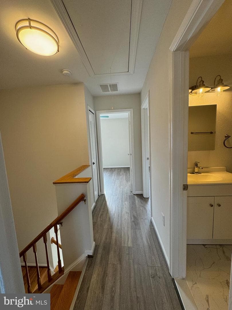 8704 Ditmars Court photo 17