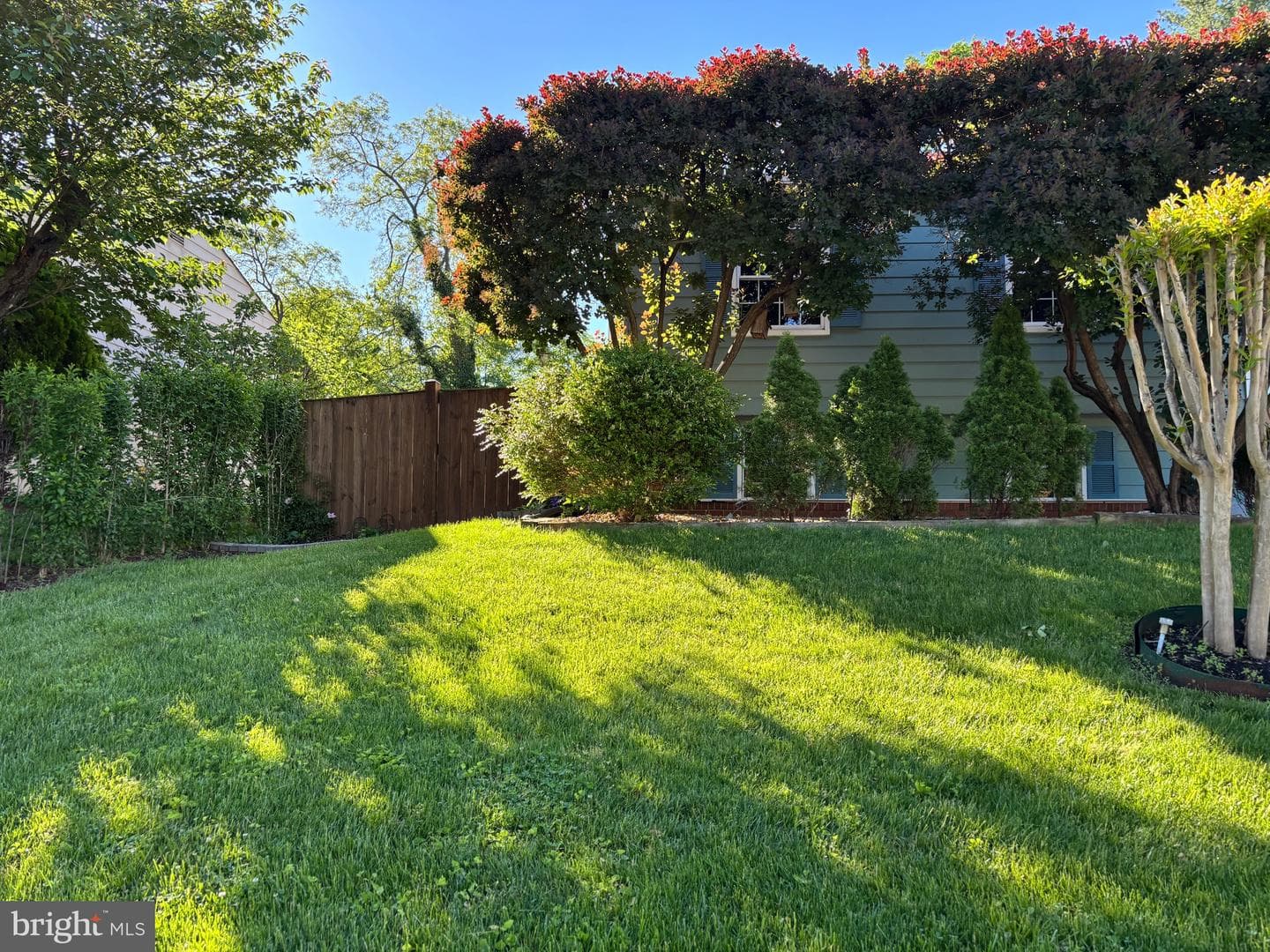 8513 Cavalry Lane photo 6