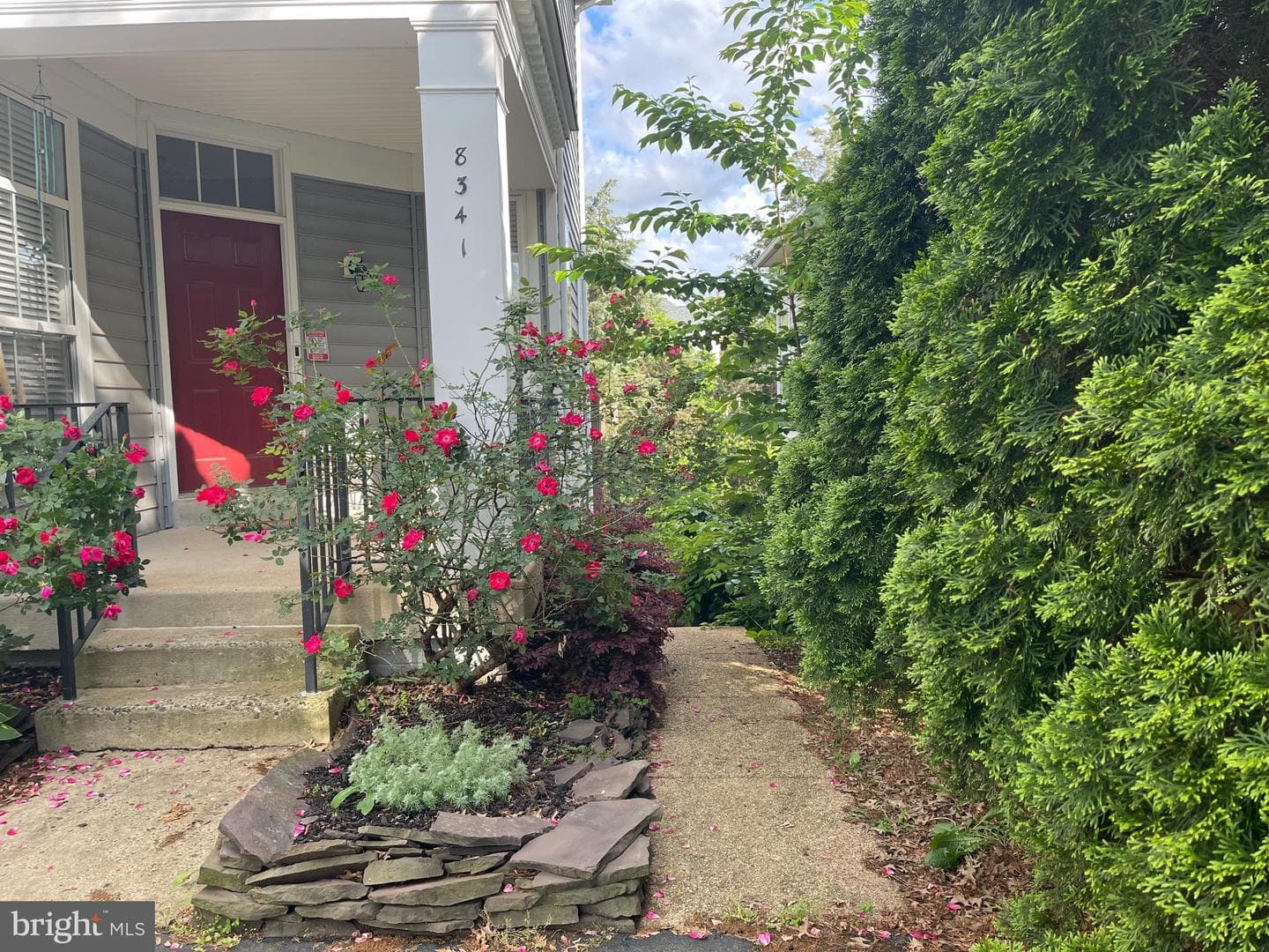 8341 Tillett Loop photo 44